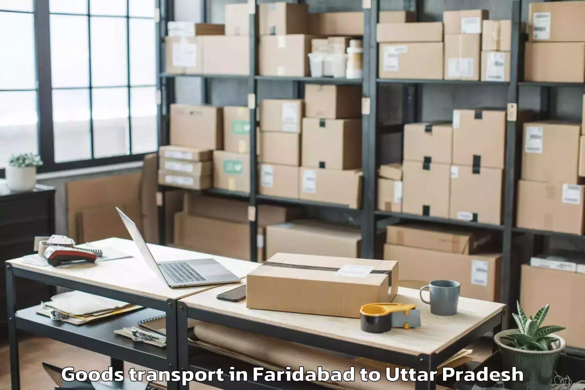 Top Faridabad to Fatehpur Chaurasi Goods Transport Available